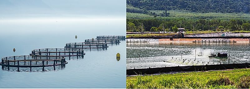 Top 15 Countries For Aquaculture Production