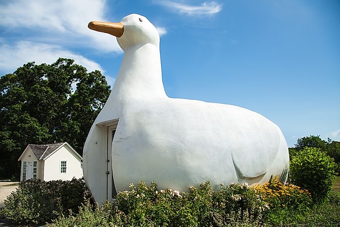 What is Novelty Architecture?
