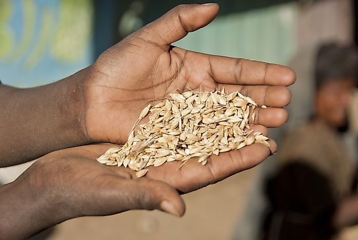 Countries Exporting the Least Food Worldwide