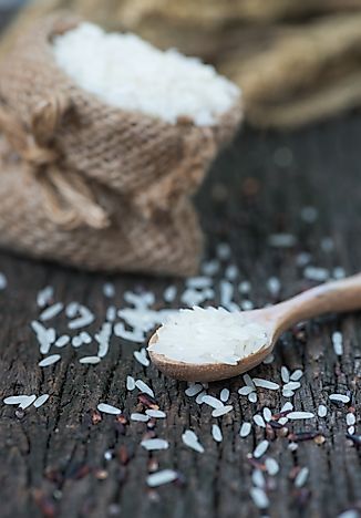 The 10 Largest Rice Importers In The World