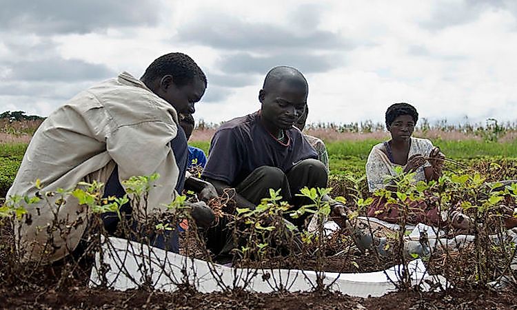 The Richest Countries In Africa