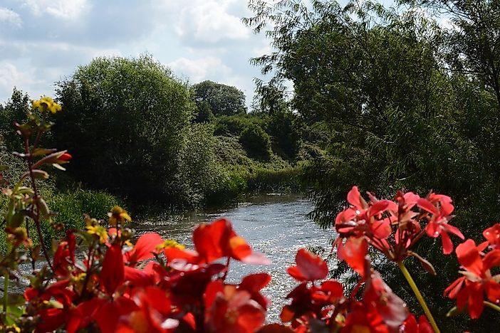 Bridges Park, Ireland - Unique Places Around the World