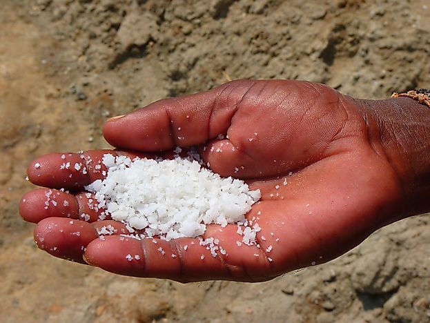 All about the Salt Industry
