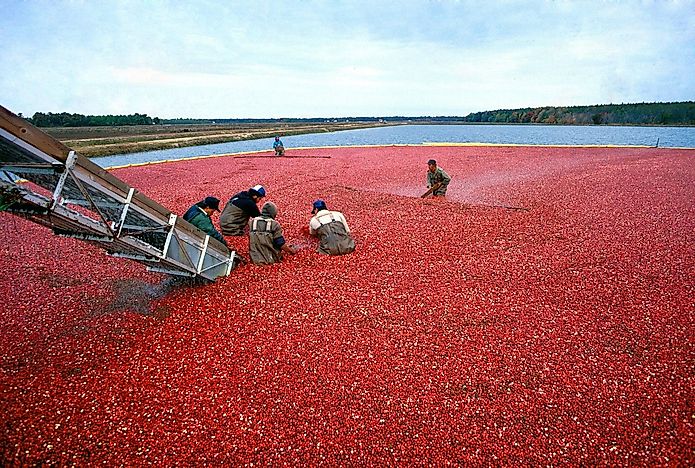 #1 United States - 405,770 Tons