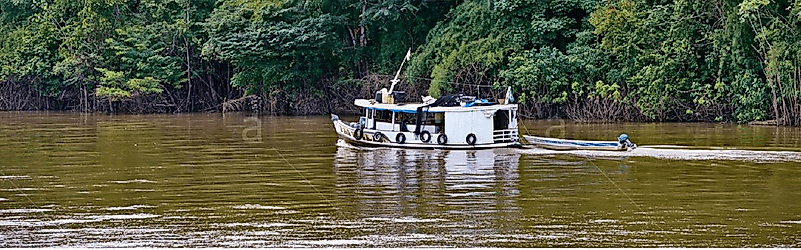 The Purus River