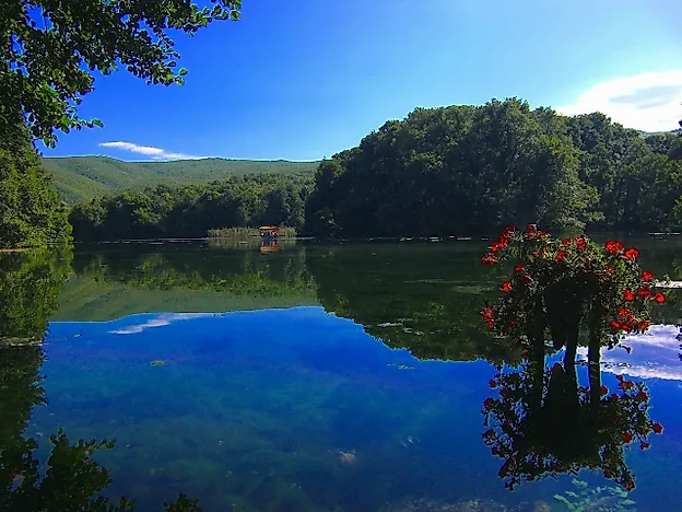 #8 Macedonia (FYROM) - 264 Tons