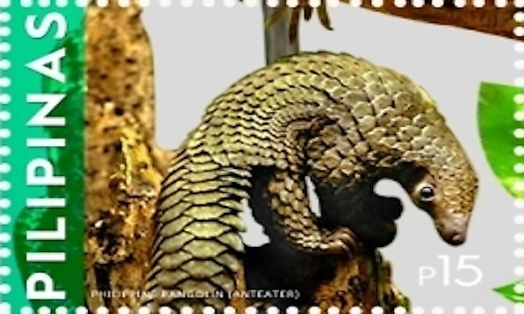 #5 Philippine Pangolin -
