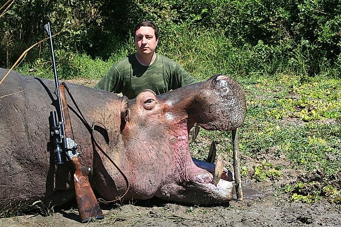 Top Countries Of Origin For Hunted Trophy Imports To The US