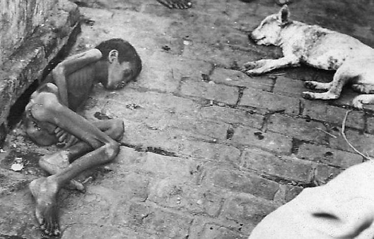 What Is A Famine, And Will They Become More Common In Years To Come?