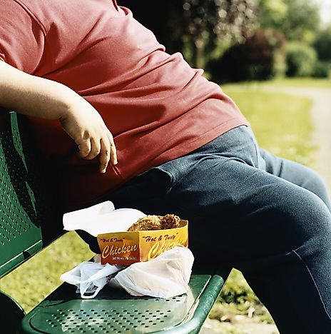 Obesity Rates In The US By State