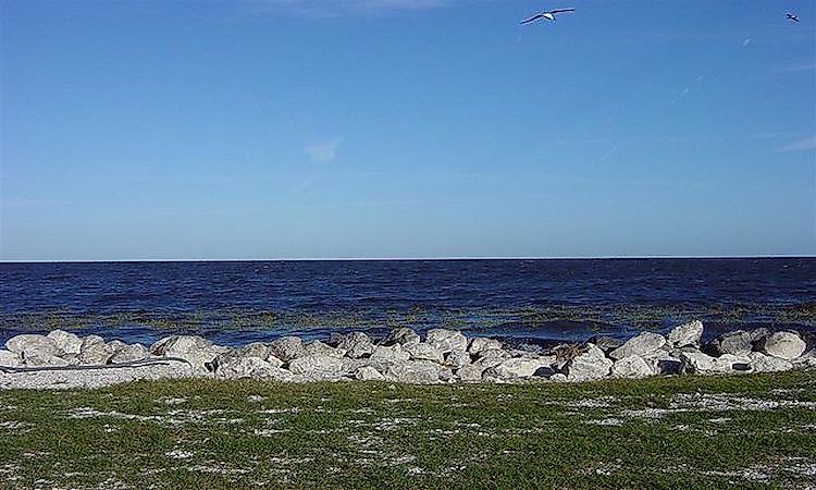 #10 Lake Okeechobee -