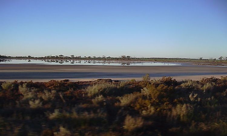 High Soil Salinity: A Major Environmental Issue In Australia