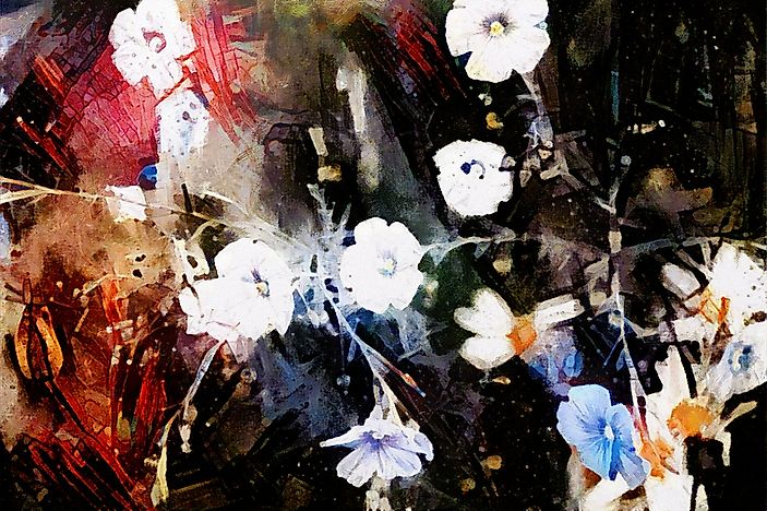 Art Movements Throughout History: Dada