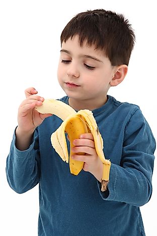 Where Do America's Bananas Come From?