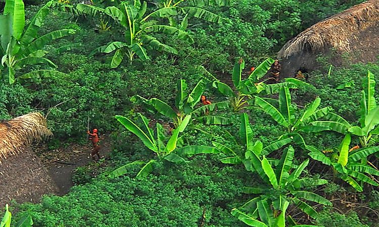 The Uncontacted Peoples Of The World: Mystery And History Surrounding Them