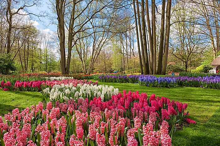 Keukenhof, Netherlands - Unique Places around the World