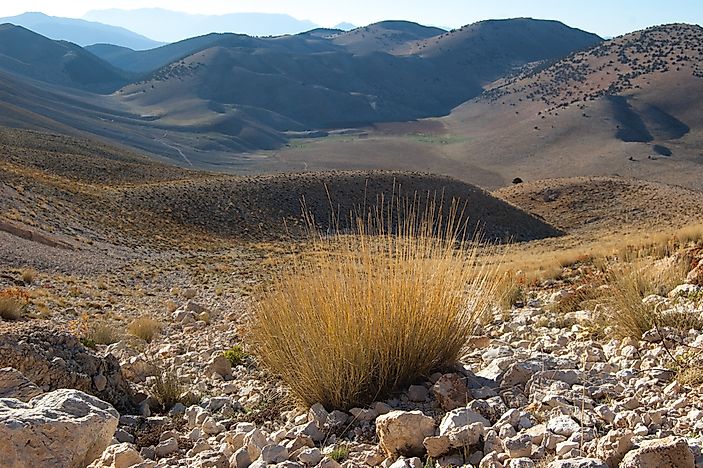 Scientists Discover Sunscreen Potential In Antarctic Plants