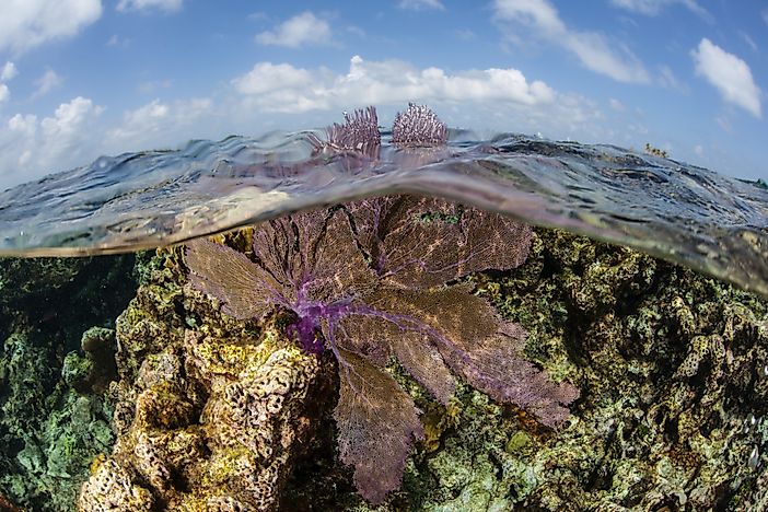 Great Blue Hole, Belize - Unique Places around the World