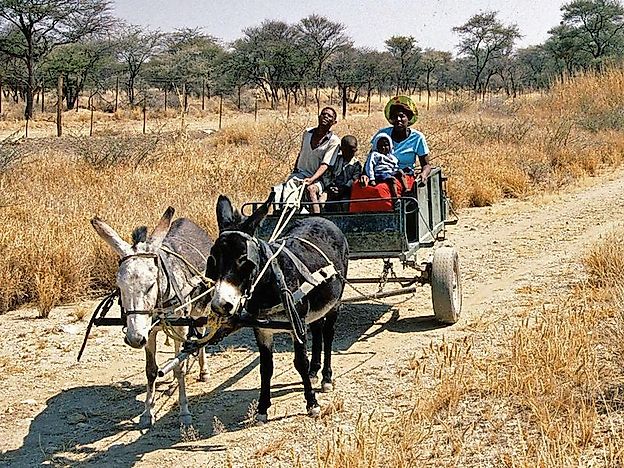 Tribes And Ethnic Groups Of Namibia