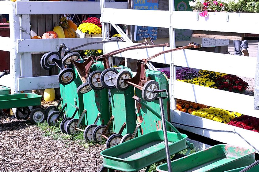 Arthur, Illinois, United States Green wagons in a row ready for customers to purchase pumpkins. Editorial credit: Presson / Shutterstock.com