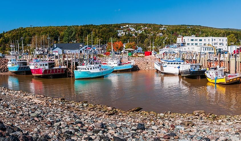 Boats in the harbor in Alma, New Brunswick / Canada