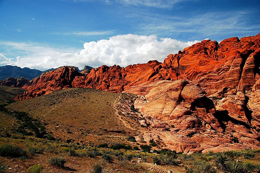 Views from Red Rock Canyon, Nevada / Red Rock.