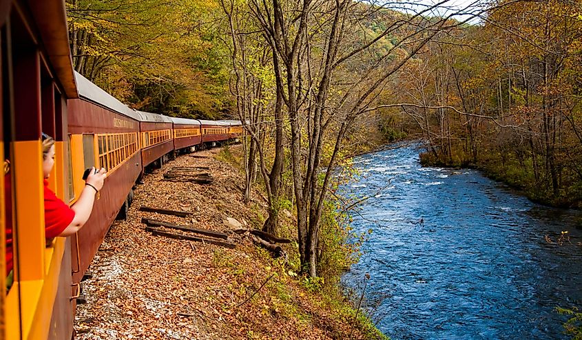 A woman taking a photo from the Smoky Mountains Railroad Scenic Train, adjacent to the Tuckasegee River.