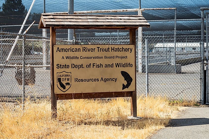 Sign at the American River Trout Hatchery centre run by the Department of Fish and Wildlife in Gold River, California. 