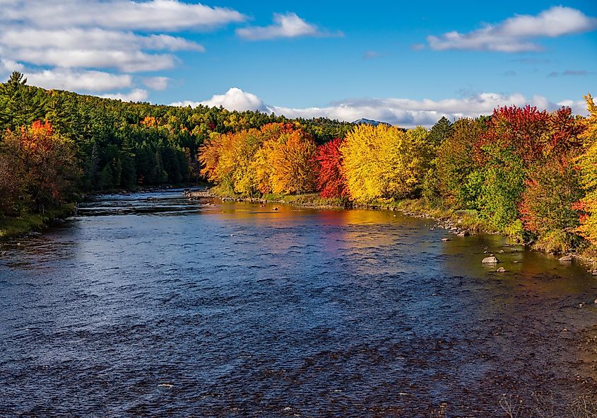Colorful fall foliage surrounds the Saranac River in the Adirondacks of New York State during the autumn season.