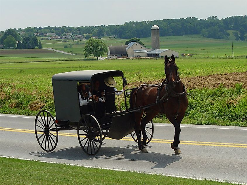 Amish buggy on the Great Shamokin Path. 