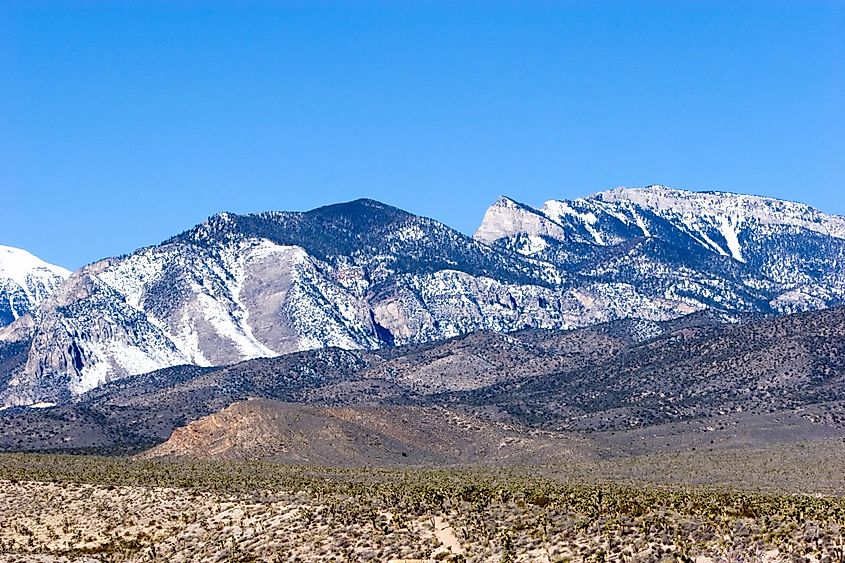Mount Charleston in Nevada.