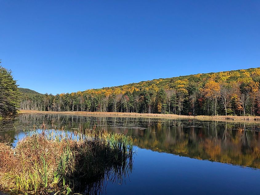 Fall Foliage at Fountain Pond Park in The Berkshire Mountains, Great Barrington, Massachusetts.