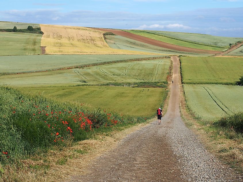  pilgrim walking the long road to Santiago through the rolling countryside of Northern Spain.