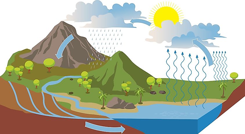 This diagram depicts the different stages of the water cycle