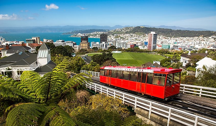 View of the Wellington Cable Car with the city sprawl and ocean in the background