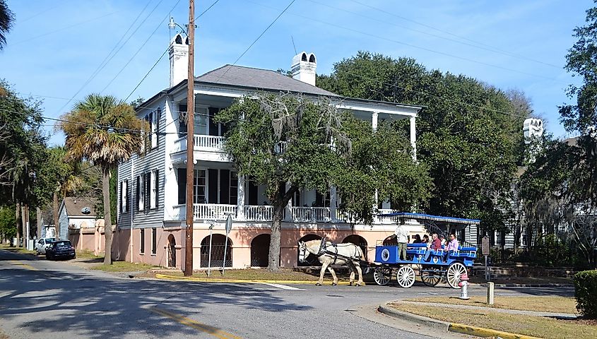 Horse and carriage in downtown Beaufort, North Carolina.