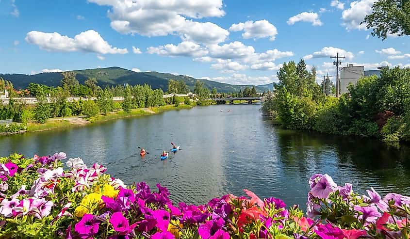 A group of kayakers enjoy a beautiful summer day on Sand Creek River and Lake Pend Oreille in the downtown area of Sandpoint, Idaho