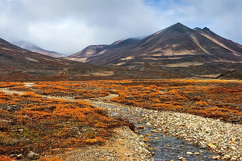 Tundra is a plain without trees, with scarce vegetation and small shrubs, mainly due to its frozen ground (permafrost).