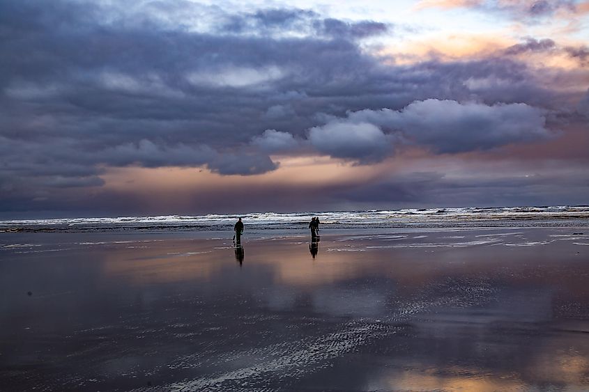 Clam digging on the Oregon coast near Seaside in April. Editorial credit: Bob Pool / Shutterstock.com