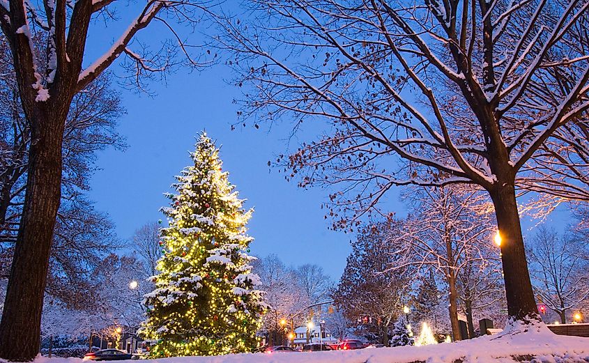 Community Christmas tree in Worthington, Ohio.