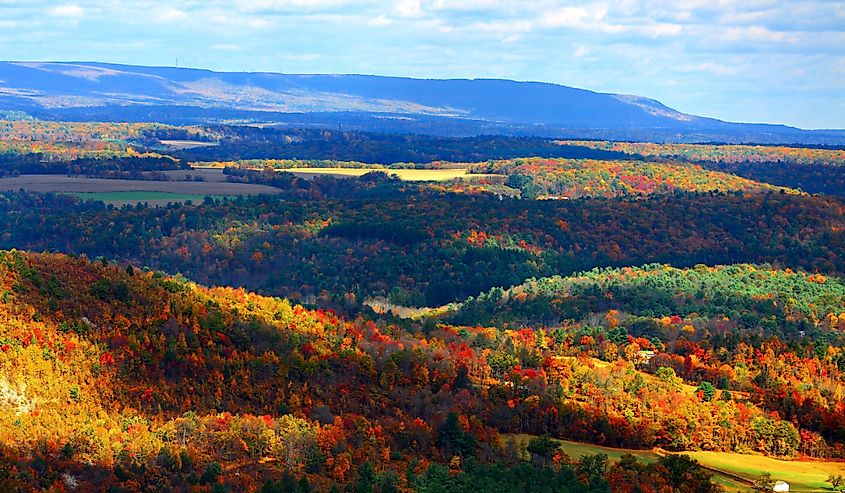 Colorful autumn foliage in the Blue Mountain Resort, Palmerton, Pennsylvania.