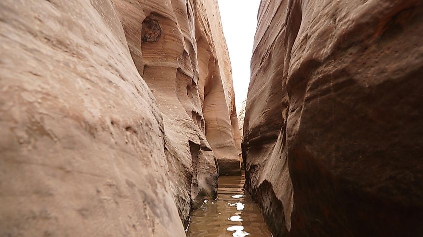 The narrow Peek-a-boo and Spooky Slot Canyons near Escalante, Utah draw adventure seekers looking to test their outdoor skills in a beautiful and unique desert setting.