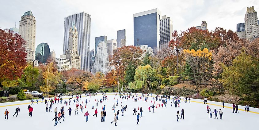 Families enjoying ice skating during winter in Central Park, New York City