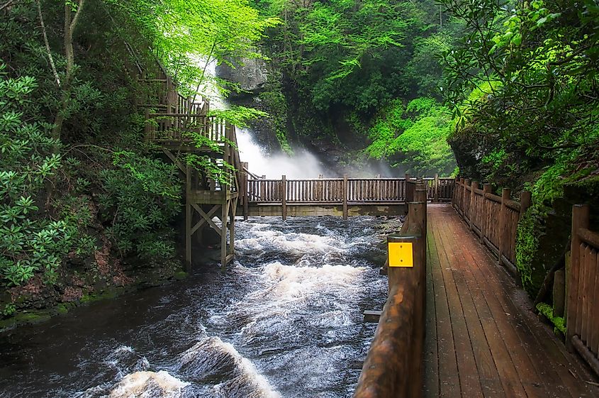 The spectacular Bushkill Falls, Pennsylvania.