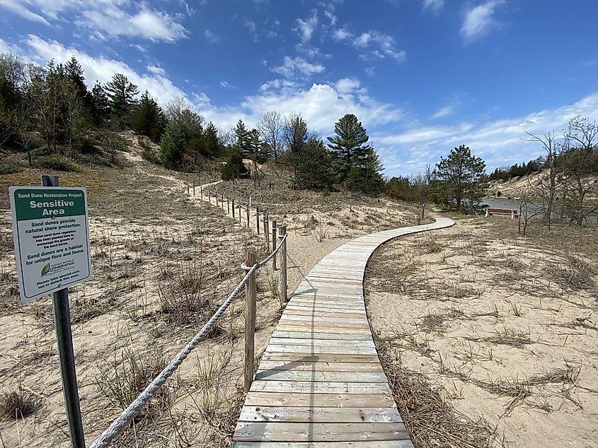 A small boardwalk leads into a riverside sand dune trail system