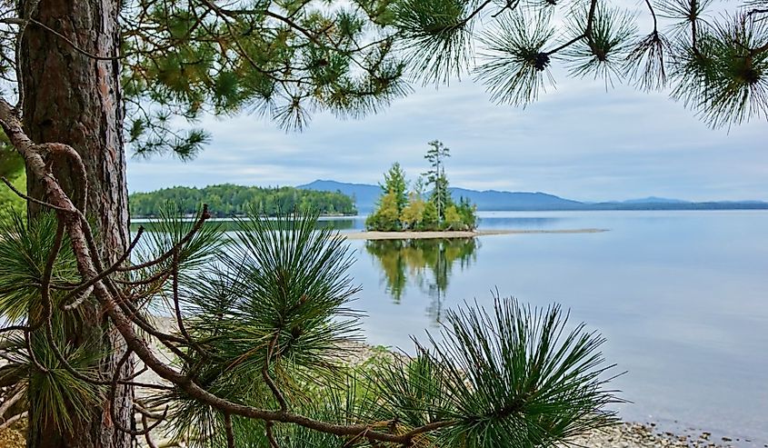 Branches and the trunk of a pine tree frame this beautiful view of Moosehead Lake at Lily Bay State Park in Maine with trees on a small island in the distance reflected on the calm water of the lake.