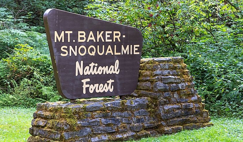 Sign for the Mt Baker-Snoqualmie National Forest