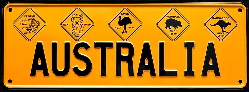 An Austrailian souvenir license plate that commemorates emus and other animals