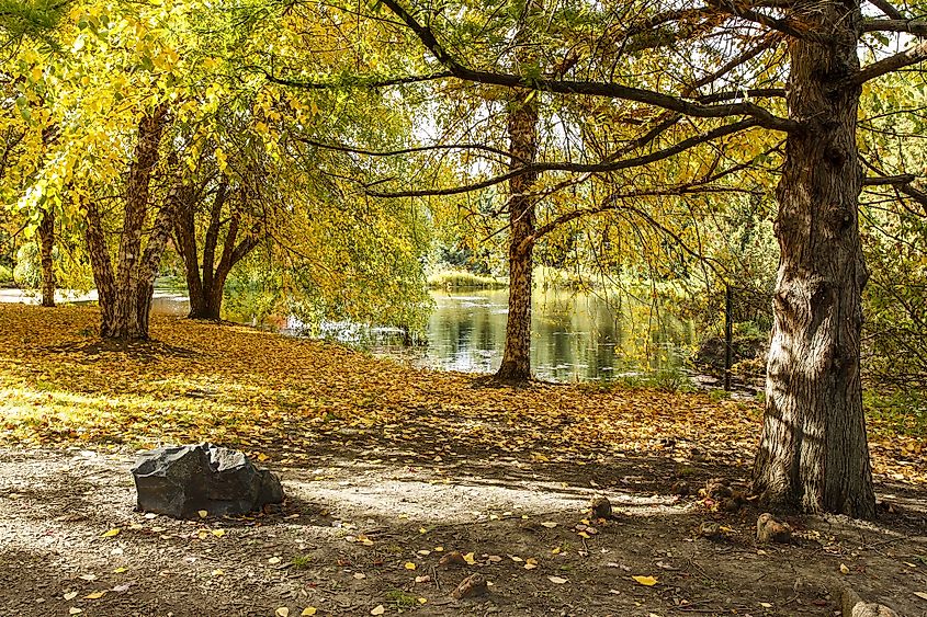 University of Idaho's Arboretum in Moscow, Idaho.