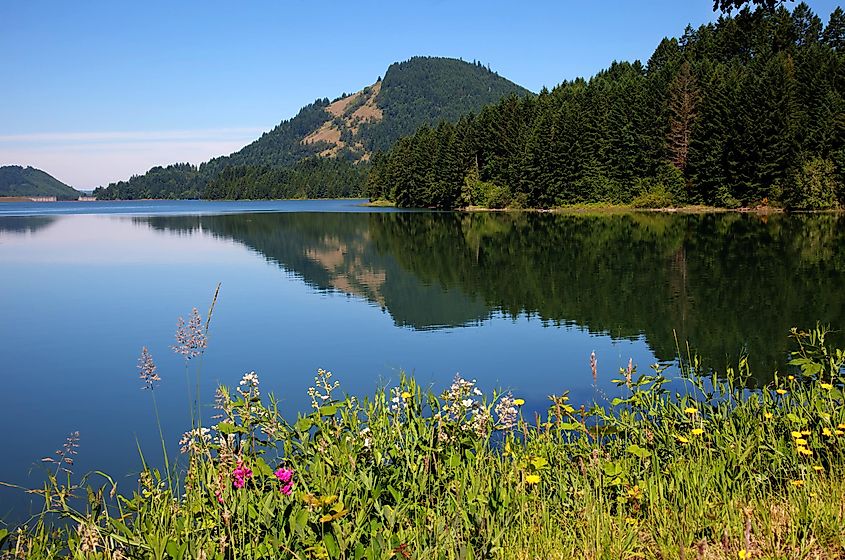 Dorena Reservoir on a still morning near Cottage Grove, Oregon, USA.